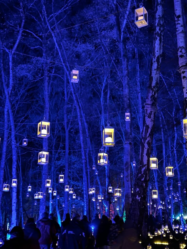 Windsor Great Park Illuminated thing to do in Englefield Green photo 3