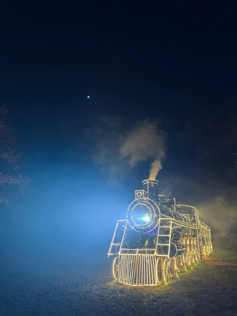 Windsor Great Park Illuminated thing to do in Englefield Green